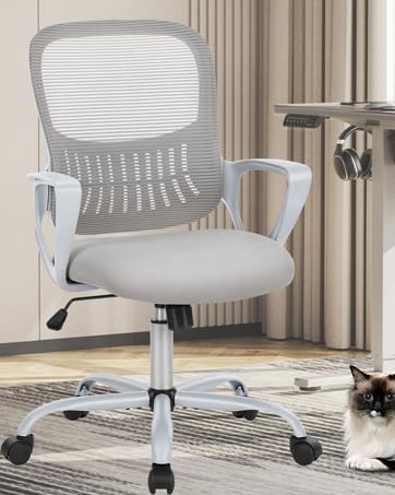 Ergonomic Office Desk Chair with Lumbar Support