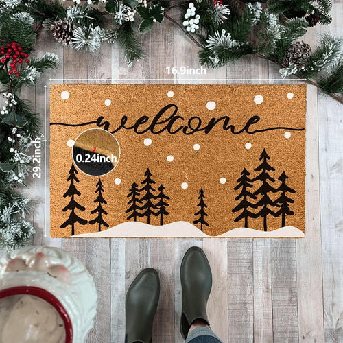 2 Pack Coir Doormat 30x17 Inch