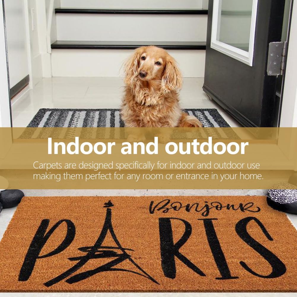 2 Pack Coir Doormat 30x17 Inch