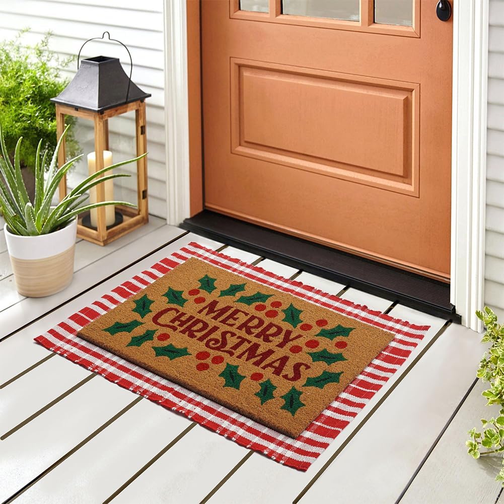 2 Pack Coir Doormat 30x17 Inch