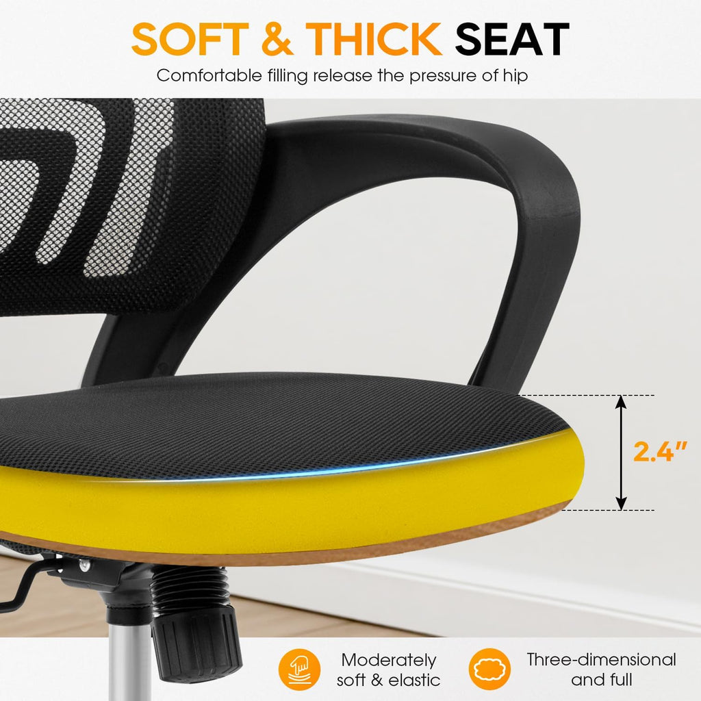 Ergonomic Office Chair with Lumbar Support