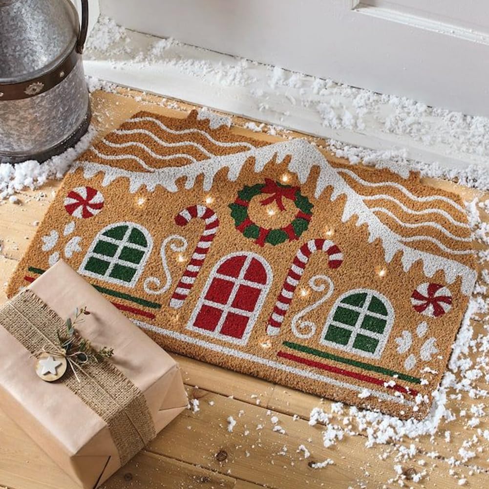 2 Pack Coir Doormat 30x17 Inch