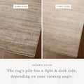 2'x3' Accent Rug in Ivory/Pebble
