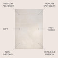 Ivory/Cream Indoor/Outdoor Area Rug 3'x5'