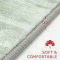 Small 2x3 Area Rug - Green