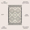 3' x 5' Moroccan Cream/Black Area Rug