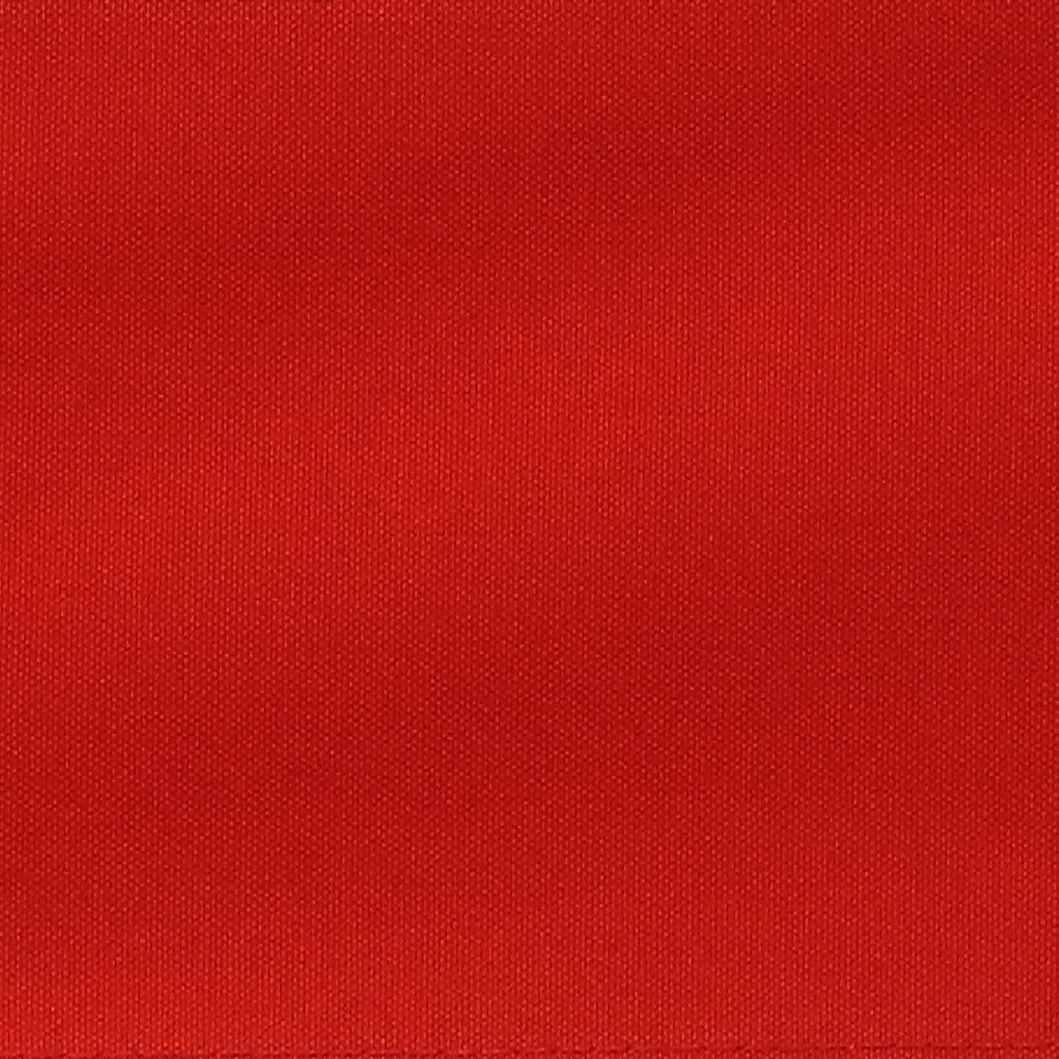 Extra-Wide Director's Chair with Red Canvas